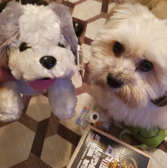 Meet the One and Only, James - Picture 6 of 7